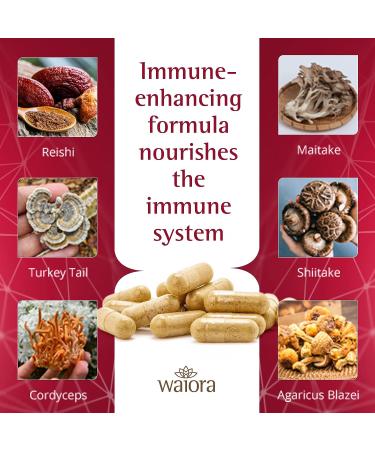 Waiora MegaDefense Mushroom Supplement - Daily Wellness Capsules with 6 Non-GMO Mushrooms - Reishi, Turkey Tail, Cordyceps, Maitake, Agaricus, Shiitake (60 Veggie Caps) - Buy Online on GoSupps.com