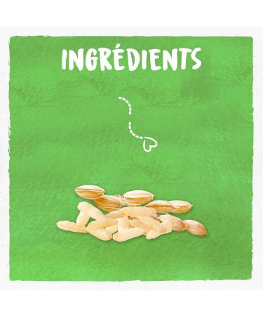 BJORG - Fine Organic Whole Rice Patties - Source Of Fiber - No Added Salt - 130g - Buy Online on GoSupps.com