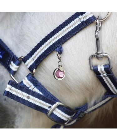Soulhorse Bridle Ranges & Lucky Charms for Horses | Keychains & Trailer Charms with Artificial Stone - Shop Charm Lucky Stone Rose - Buy Online on GoSupps.com