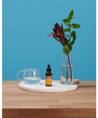 Herb Pharm Certified Organic American Ginseng Extract - 1 Ounce 1 Fl Oz (Pack of 1) - Buy Online on GoSupps.com