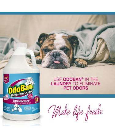 OdoBan Disinfectant & Aroma Eliminator - Set of 2 14.6oz Continuous Spray & 1 Gallon Cleaning Concentrate Cotton Breeze Scent - International Shipping Available - Buy Online on GoSupps.com