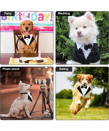 KroY PecoeD Formal Dog Tuxedo Bandana Collar - Adjustable Bow Tie & Neck Tie for Small-Medium Dogs (L) - Wedding & Special Occasion Accessories - Buy Online on GoSupps.com