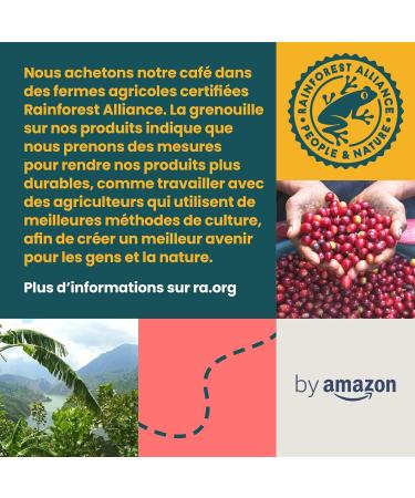 by Amazon Nespresso Compatible Brazilian Coffee Brazilian Medium Roast 100 Aluminum Capsules 10 Count (Pack of 10) - Rainforest Alliance Certified - Buy Online on GoSupps.com
