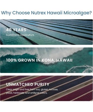 Nutrex Hawaii Pure Hawaiian Spirulina Powder - Vegan Superfood Farm Grown Non-GMO Immune Support & Cellular Energy 90 Day Supply 9.53 Oz 9.53 Ounce (Pack of 1) - Buy Online on GoSupps.com