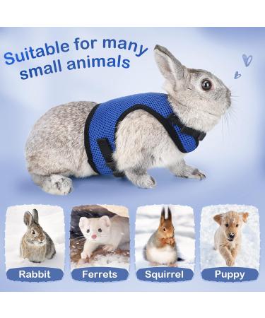 Adjustable Soft Cat Dishes with Elastic Leash for Small Animals - Blue | Ideal for Kitties & Bunnies (Chest 28-35cm) | International Shipping Available - Buy Online on GoSupps.com