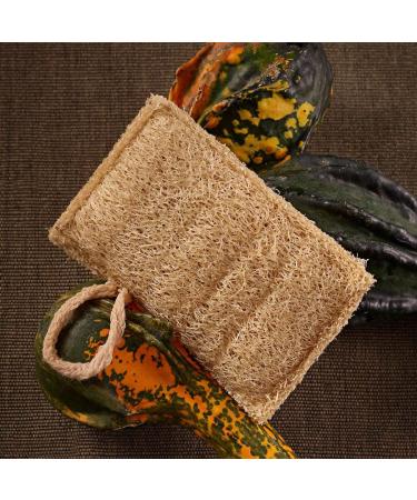 Buy Io Nova Luffa Rush Sponges Set of 4 - Eco-Friendly Bath and Kitchen Cleaning Solutions - Buy Online on GoSupps.com