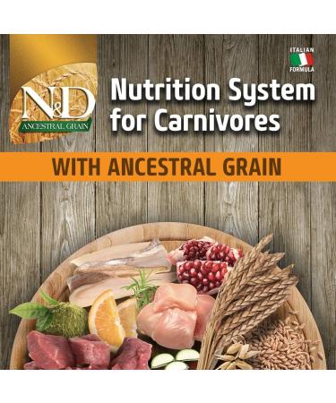 N&D ANCESTRAL Grain Dog Chicken Spelt Oats and Pomegranate Puppy Mini 800G - Buy Online on GoSupps.com