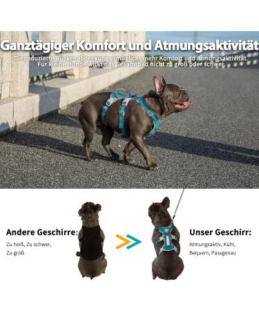 Huntboo Safety Harness for Small Dogs - Reflective Adjustable Durable Vest for Escape Artists - Blue (Size S) - Perfect for Walks - Buy Online on GoSupps.com