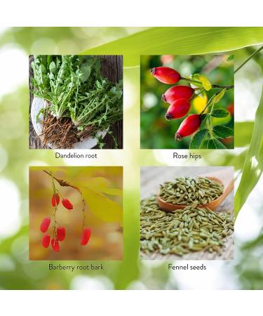 Nature's Sunshine LIV-J Capsules - Digestive Support with Herbal Blend for Liver and Spleen Nourishment - 100 Caps - Buy Online on GoSupps.com