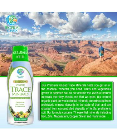 Tropical Oasis Premium Ionized Plant Based Trace Minerals Liquid- 16 oz (32 Servings) - Buy Online on GoSupps.com