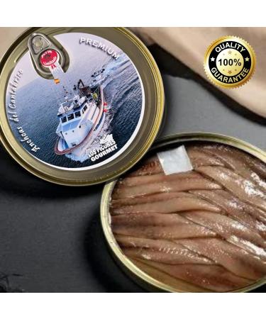 Los Picones Gourmet Premium Anchovies from the Cantabrian XL Pack of 3 Tins in Olive Oil (300 g/30 fillets) Preserved Gourmet with Bocartes Grandes. Santo a - Buy Online on GoSupps.com