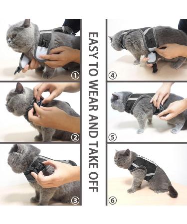 Premium Cat Dishes with Leash - Outbreak-Proof Set with Reflective Harness for Kittens - Gray Small - Buy Online on GoSupps.com
