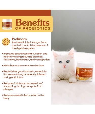 FERA Probiotics for Dogs and Cats - USDA Organic Certified - Vet Formulated - 5 Billion CFUs - Made in USA - Buy Online on GoSupps.com