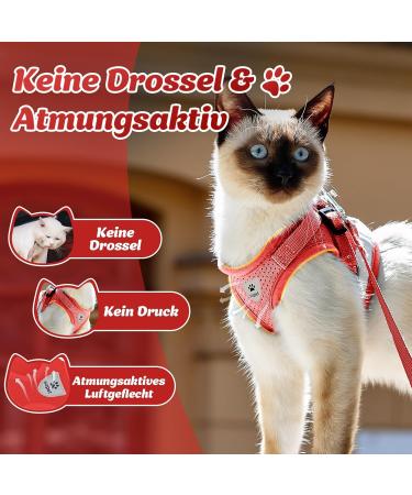 Supet Cat Dishes - Soft Cat Vest with Leash for Kittens & Small Dogs (Chihuahua) - L Size (Chest 38-43 cm) - Durable & Stylish in Red - Buy Online on GoSupps.com
