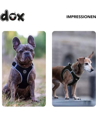 DDOXX Reflecting Airmesh Step-in Dog Harness - Adjustable for All Sizes - XL (Black) - Perfect for Dogs with Breast Size 48-55 cm - Buy Online on GoSupps.com
