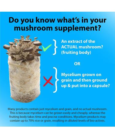 Bold Botanica Lion's Mane Mushroom Capsules - Organic Extract for Brain Health, Memory & Immune Support - 60 Vegan Capsules - Buy Online on GoSupps.com