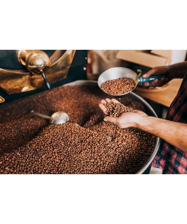 SAVA Cold Brew Coffee Concentrate 30X - 4 fl oz - Instant Iced Coffee Super Concentrate - Buy Online on GoSupps.com