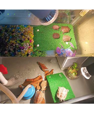 Keedolla Turtle Basking Platform: Large Green Grass Ramp for Aquarium - Ideal Tortoise Resting Terrace & Reptile Pier - Buy Online on GoSupps.com