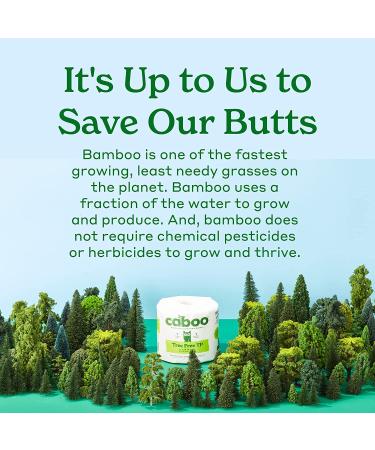 Caboo Tree Free Bamboo Toilet Paper - 24 Double Rolls, Septic Safe, Biodegradable Bath Tissue - Eco Friendly, Soft 2 Ply Sheets - 300 Sheets Per Roll - Buy Online on GoSupps.com