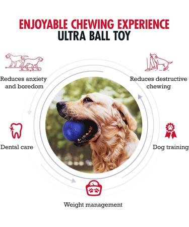 Tuff Pup Superchewy Tough Ball Toys for Dogs | Durable Natural Rubber | Best for Large Breeds | Ultra-Durable 2-Inch & 5-CM Options - Buy Online on GoSupps.com