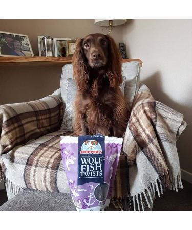 SKIPPER'S Wolf Fish Skin Twists - Grain Free Dog Treat Great for Dogs Teeth Handmade & Gently Air Dried Healthy Natural Dog Dental Sticks | Long Lasting Hypoallergenic Chew Treats Regular (250g) Regular 250 g (Pack of 1) - Buy Online on GoSupps.com