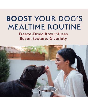 Natural Balance Limited Ingredient Freeze-Dried Raw Dog Food - Beef & Brown Rice 13 oz - Buy Online on GoSupps.com