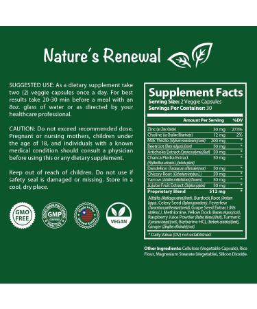 Nature's Renewal Liver Support Supplement Cleanse Detox Repair Renew Recovery Formula with Milk Thistle Dandelion Root Artichoke Extract Choline Turmeric 60 Capsules - Buy Online on GoSupps.com