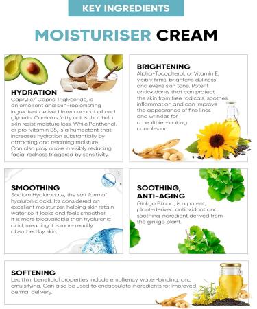 Hyaluronic Acid Moisturiser Face Cream - Hydrating Skincare with Vitamin E & B5 to Instantly Soothe and Replenish the Skin's Moisture Barrier - Intensely Nourishing Day Cream for Women and Men 50ml - Buy Online on GoSupps.com