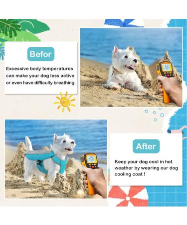 Hjumarayan Dog Cooling Vest - Breathable XXL Summer Coat with D-Rings - Perfect for Hot Days - Blue - Buy Online on GoSupps.com