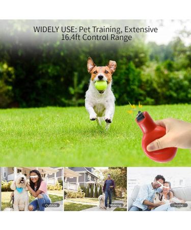 Buy Dingfeiyu 5-Piece Hand Whistle Set - Ideal for Coaches Referees Dog Trainers & Sports Teachers - Perfect for Emergency & Training Needs - Buy Online on GoSupps.com