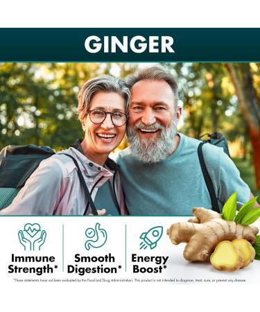 Secret Element Irish Sea Moss Black Seed Oil Ashwagandha Ginger 20 000mg Capsules Seamoss Black Seed Oil Ashwagandha Burdock Root All in One Supplement 120 Capsules 120 Count (Pack of 1) - Buy Online on GoSupps.com