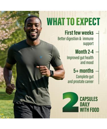 Probiotics for Men with Prebiotics - Men Probiotic Supplement for Digestive Health Gut Health Immune Health Bloating and Prostate Care - Strains Shelf Stable Gluten & Soy Free 60 capsules. - Buy Online on GoSupps.com