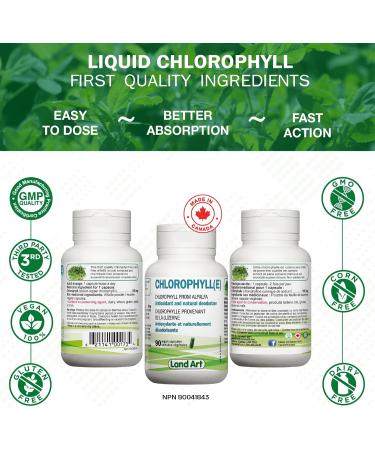 Chlorophyll Capsules - 90 pills - Cold Extracted from Non-GMO Alfalfa - Detox - Alkaline - Natural Body Deodorant Antioxidant - Made in Canada- PACK OF 2 - Buy Online on GoSupps.com