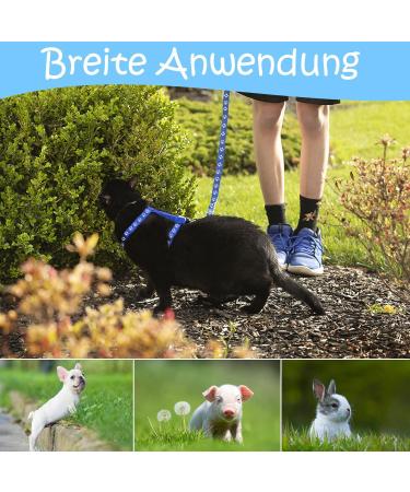 Adjustable Nylon Cat Leash Set - 2 Pieces with Lady Beetle Print & Soft Cat Dishes for Kittens Puppies & Rabbits - Pink & Blue - Buy Online on GoSupps.com
