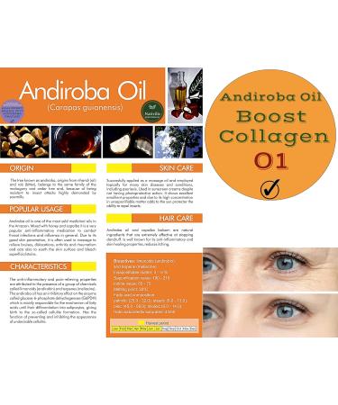 Nativilis Acai Bio Oil Capilar Mositurizer plus 04 Amazonian Rainforest Virgin Oils Acai Andiroba Pracaxi Brazil Nut Complex emollient restructuring hair fibres strengthens roots dry hair Copaiba - Buy Online on GoSupps.com