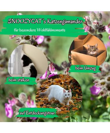 SNOOZYCAT 10 Pack Refills with 100% Natural Catnip with Catnip Also Called Catnip Herbal Mix for Cat Cushion Fillable Handmade - Buy Online on GoSupps.com