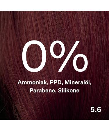 Correx Argan Oil Colorant - Ammonia-Free Light Brown Red 5.6 | 100% Gray Hair Coverage | Vegan & Long-Lasting Hair Color - Buy Online on GoSupps.com