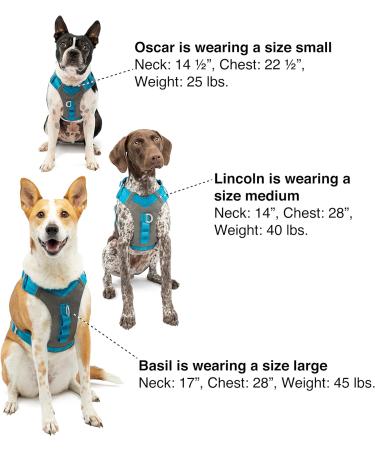 Kurgo Journey Air Dog Harness - Padded Chest & Back Handle for Dogs 2-5 kg XS Size - Blue/Gray - Buy Online on GoSupps.com