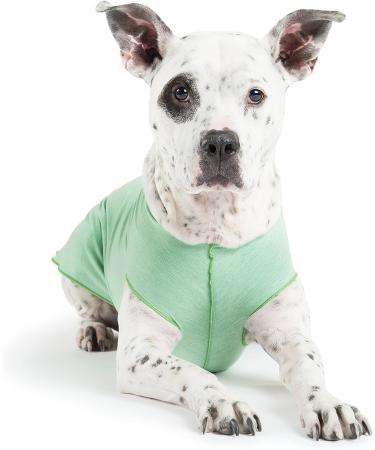 Gold Paw Sun Shield Dog Tee - Size 10 Pistachio | UV Protection, Anxiety Relief, Wound Care, Foxtail Protection, Alopecia Aid | Machine Washable, All Season | Pack of 1 - Buy Online on GoSupps.com