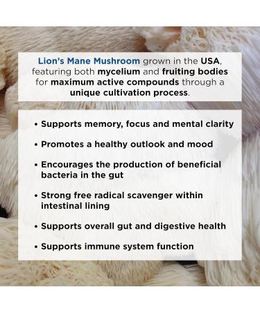 Ascent Nutrition Organic Lion's Mane Mushroom Powder | Grown in The USA | Supports Healthy Memory and Cognitive Function | 2 Grams per Scoop - Buy Online on GoSupps.com