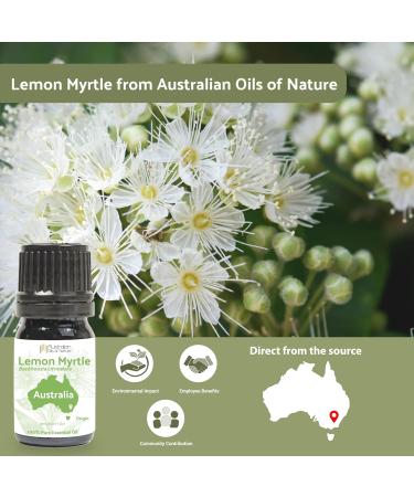 Lemon Myrtle Essential Oil - Pure Therapeutic Grade - Invigorating Citrus Aroma - 5ml - International Shipping Available - Buy Online on GoSupps.com