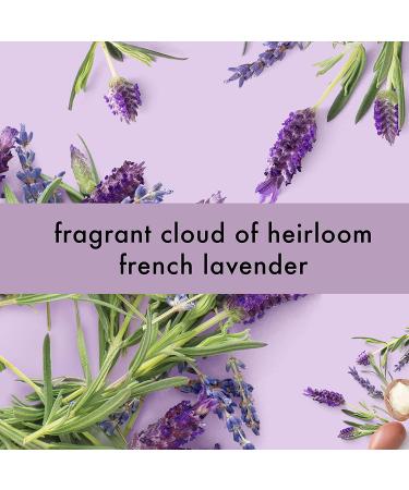 Love Beauty and Planet Smooth & Serene Shampoo - Argan Oil & Lavender 13.5 oz - Buy Online on GoSupps.com