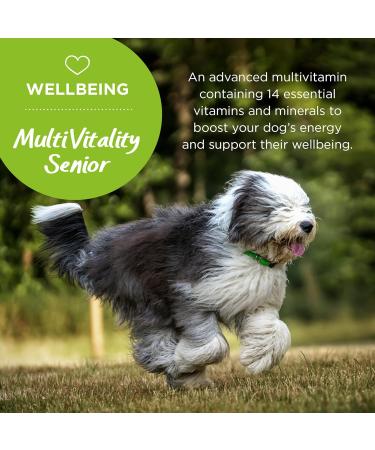 Healthspan Senior Multivitamin for Dogs | 240 Tablets | 15 Essential Vitamins & Minerals with Siberian Ginseng | Beef Flavoured | Pet Health Supplement - Buy Online on GoSupps.com