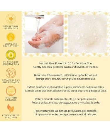 BEES of BRITAIN - 99% Natural - Hand Wash - Honey Lavender No Sulfates/Parabens No Soap. pH 5.5 Sensitive Skin. We Donate 5% of our Profit to Save Bees + Pollinators. 250ml - Buy Online on GoSupps.com