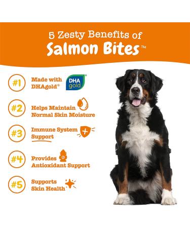 Zesty Paws Salmon Bites â€“ Skin & Coat Chews for Dogs | 90 Soft Chews, All Ages - Buy Online on GoSupps.com