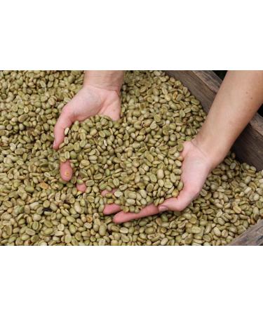 Guggenheimer Caf en Grain 1kg - Ensemble de D gustation - Cafe Supreme 500 g + Caf Arabica Gourmet 500 g - Caf Grains pour Machines Automatiques - Buy Online on GoSupps.com