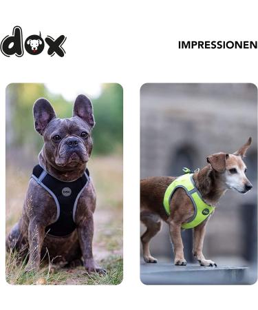 DDOXX Reflective Air Mesh Breast Harness for Dogs | Step-In & Comfortable | Many Colors | XS (28-33 cm) | Perfect for Small & Medium Breeds - Buy Online on GoSupps.com