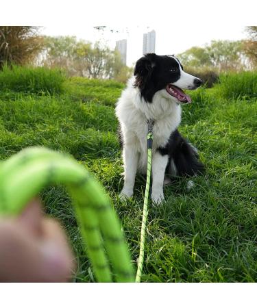 X Xben 20m Dog Tow Line - Thick Leash with Padded Handle & Lockable Carabiner for Small & Medium Dogs - Ideal Training Line in Apple Green - Buy Online on GoSupps.com
