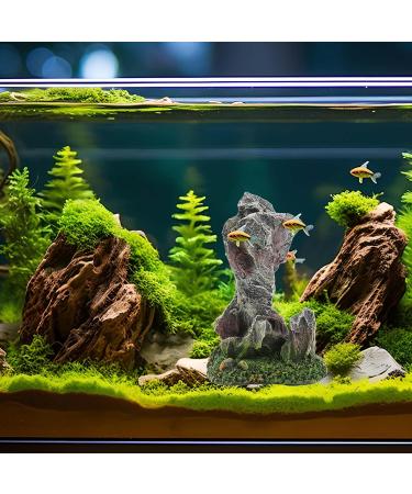 Ctpeng Aquarium Hole Decor - Art Deco Style for Stunning Aquascapes | International Shipping Available - Buy Online on GoSupps.com