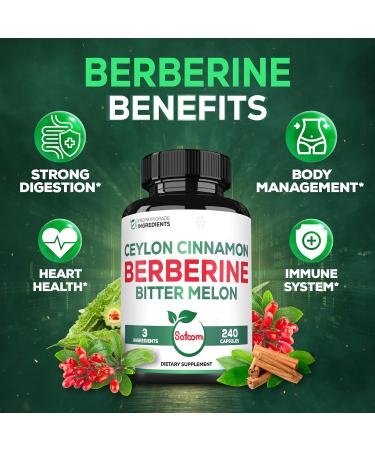 Satoomi Berberine 1500mg Supplement with Organic Ceylon Cinnamon Bark & Bitter Melon - 240 Vegan Capsules for 80 Servings - Immune System, Heart Health, Body Management & Digestion Support 240 Count (Pack of 1) - Buy Online on GoSupps.com